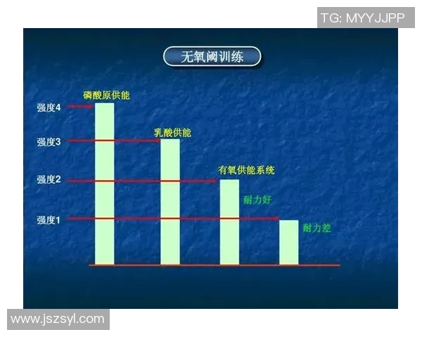 广州羽毛球队战术分析与表现评估探讨