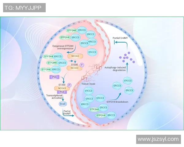 西安网球队在欧锦赛中的战术意识与团队配合全面解析 西安网球队在欧锦赛中的战术意识与团队配合全面解析